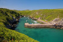 Porth Clais- Summer