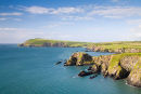 Dinas Head