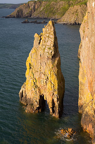 Needle Rock