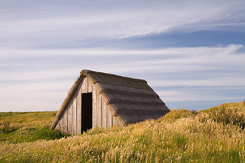 Seaweed Hut