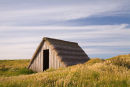 Seaweed Hut