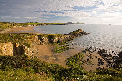Trwynhwrddyn