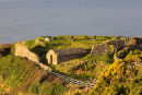 Fishguard Old Fort