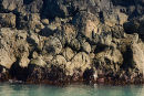" Pillow Lava "