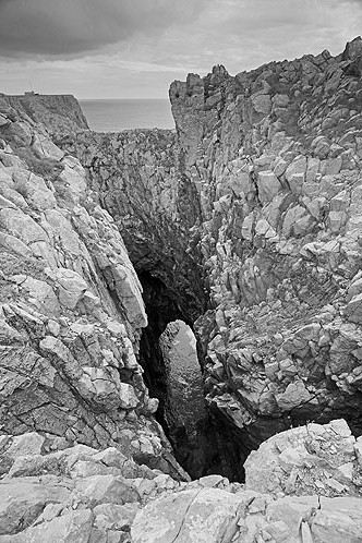 Blowhole