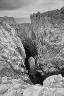 Blowhole