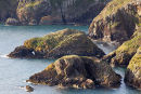 Ynys Ddu