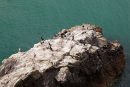 Cormorant Rock