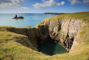 Blowhole