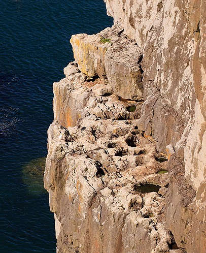 Palaeokarst Limestone Ledge