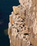 Palaeokarst Limestone Ledge