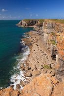 Newton Head
