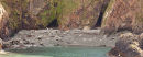 Grey Seals