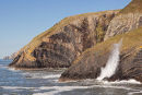 Blowhole