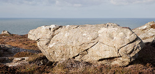 Rock (Hippo !)