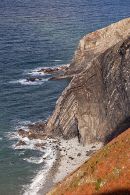 Anticline