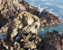 Natural Arch