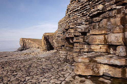 Blue Lias