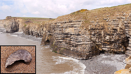 Devil's Toenail - Stout Point