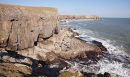Newton Head