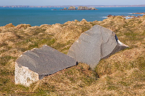 Glacial Erratic
