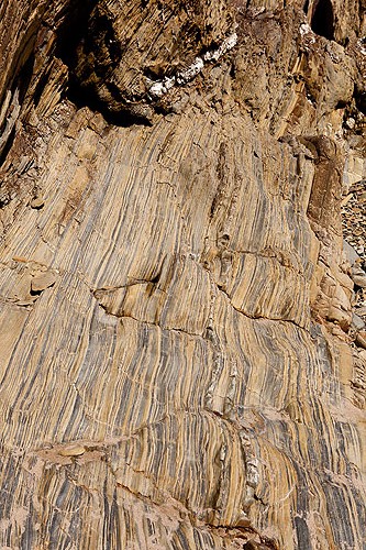 Cambrian Sandstones - Mudstones