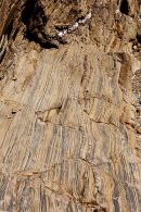 Cambrian Sandstones - Mudstones