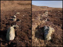 Field Boundary Walls