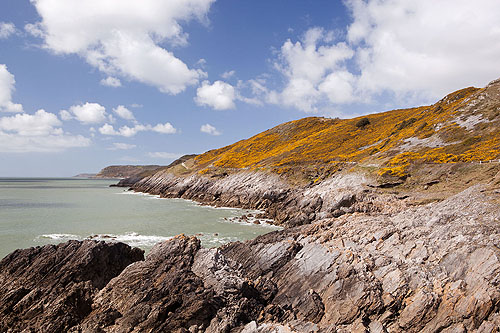 Newton Cliffs