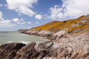 Newton Cliffs