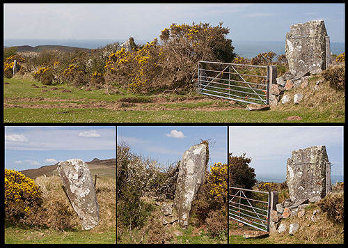 Parc y Meirw / Bronze Age Stone Row