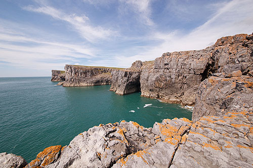 Newton Head