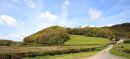 Llanerch
