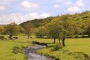 Afon Gwaun