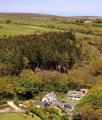 LLanychllwydog