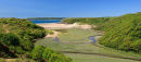 Salt Marshes