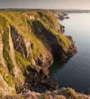 Pwll Whiting
