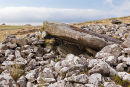 Carn Menyn , Cairn - Chambered Tomb