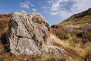 Banded Rock