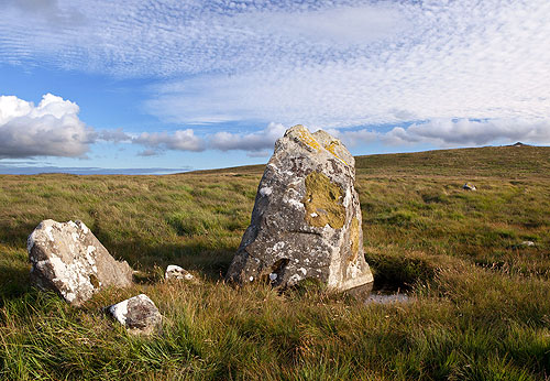 Cerrig Lladron - Stone Row