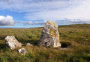 Cerrig Lladron - Stone Row