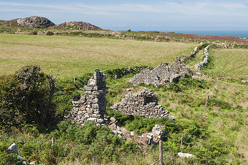 Maes Y Mynydd