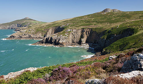 Carn Treliwyd