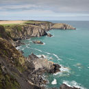 Ynys-Fach