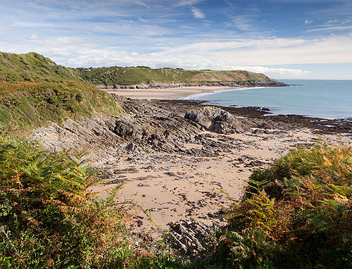 Brandy Cove