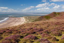 Rhossili Down