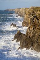 Stormy Seas