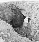 Blowhole