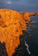 Mewsford Point