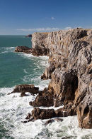 Mewsford Point